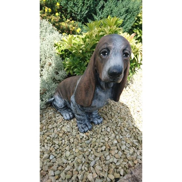 Bassett Hound