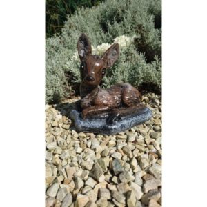 Fawn