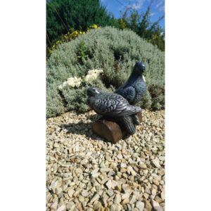 Two Pigeons On Log