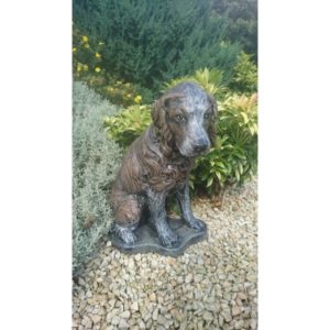 Spaniel